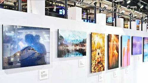 尼康参展第二十三届上海国际摄影器材和数码影像展览会